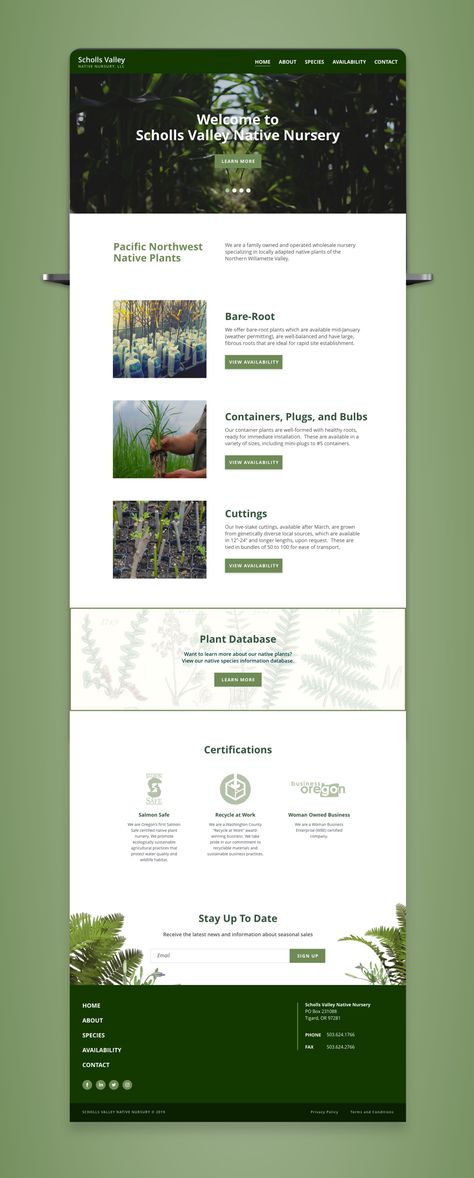 Designing a new website for a local nursery focused on sustainability. Super cool company and great people. Greenhouse Website Design, Conservation Website Design, Nursery Website Design, Sustainable Website Design Inspiration, Agro Website Design, Web Design Sustainability, Resources Page Website Design, Environment Website Design, Gardening Website Design