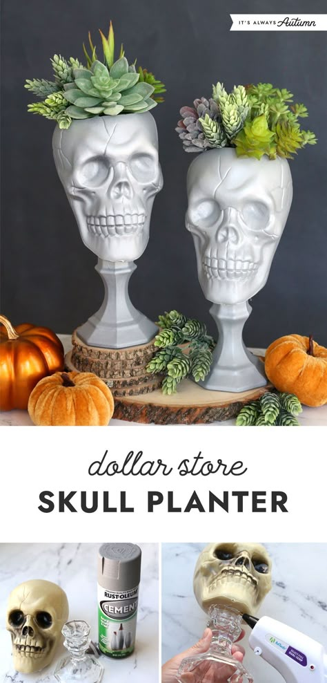 Transform a plastic skull and a glass candle holder from the dollar store into a faux cement skull planter. This easy craft project will be the perfect addition to your Halloween decor. Vampire Outdoor Decor, Halloween Glass Candle Holder, Dollar Store Gothic Decor, Skull Room Decor Ideas, Halloween Planters Diy, Dollar Tree Halloween Skull Decor, Dollar Tree Halloween Centerpiece Ideas, Diy Halloween Outside Decor, Diy Dollar Store Fall Crafts