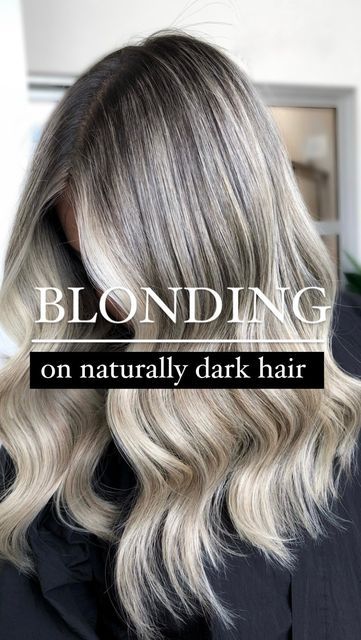 Champagne Hair Balayage, Balayage Hair Fine Hair, Belayer Hair Blonde, Blonde Heavy Highlights On Dark Hair, Level 8 Ash Blonde, Full Head Blonde Foils On Dark Hair, Heavy Blonde Highlights On Dark Hair, Full Head Blonde Highlights On Dark Hair, Blonde Highlights With Root Smudge