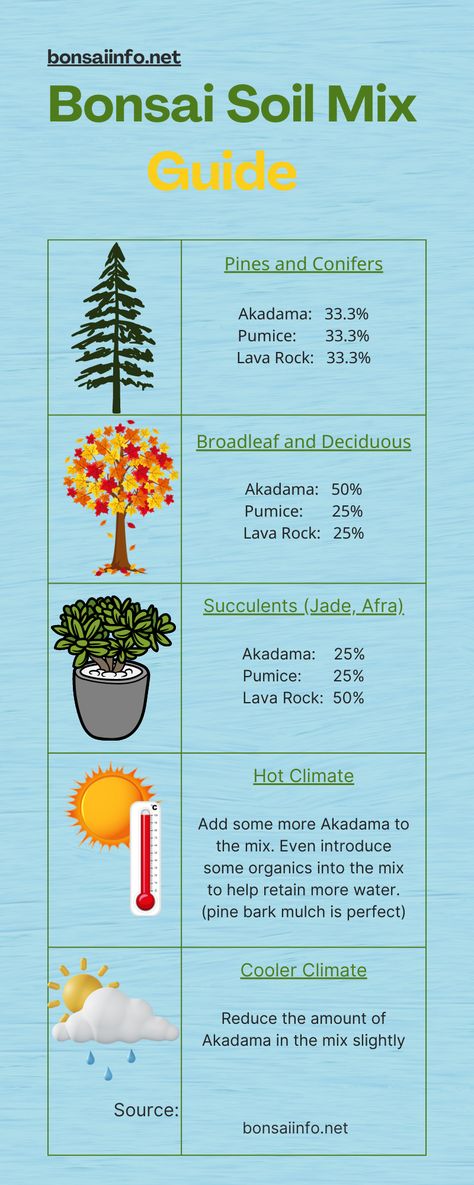 A basic guide to bonsai soil mixes and ratios. For a more detailed overview and list of substitutes that can be used, Go to bonsaiinfo.net to take a deeper dive. Bonsai Soil How To Make, Bonsai Soil Mixture, Bonsai Succulents, Baby Parakeets, Cherry Blossom Bonsai, Bonsai Kit, Garden Of Eve, Bonsai Making, Bonsai Pruning