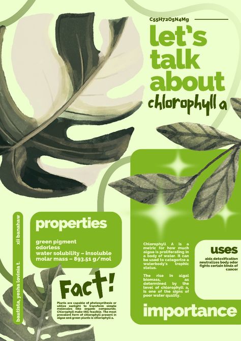 Plant Graphic Design Poster, Advertising Poster Ideas Marketing, Plant Infographic Design, Infographic Poster Design Creative, Graphic Design Posters Infographic, Wildlife Graphic Design, Nature Graphic Design Poster, Nature Magazine Layout, Informative Poster Design Ideas