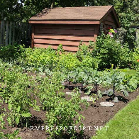 Vegetable Garden Design In Ground, Small In Ground Garden, Vegetable Garden Layout Design In Ground, In Ground Garden Layout Ideas Vegetable, In Ground Garden Ideas, In Ground Garden Design, Inground Vegetable Garden, Vegetable Garden In Ground, Ground Garden Ideas