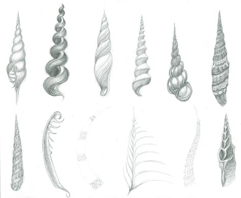 Shells and other items found in Liverpool World Museum, as inspiration for a unicorn horn design. Unicorn Horn Reference, Unicorn Horn Drawing Reference, Unicorn Horn Design, Unicorn Horn Drawing, Unicorn Horn Tattoo, Horn Drawing Reference, Horns Drawing References, Mythical Horses, Pin Inspiration