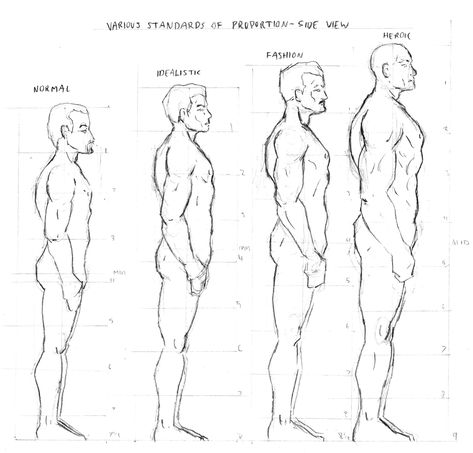 How To Draw Males Bodies, Male Body Drawing, Side View Drawing, Cartoon Drawings Of People, Body Reference Drawing, Cartoon Girl Drawing, Body Anatomy, Male Figure, Body Drawing