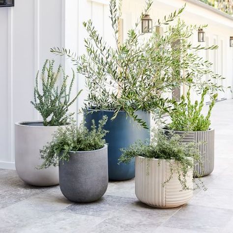 Outdoor Pottery, Faux Olive Tree, Indoor Outdoor Planter, Unique Centerpieces, Pot Plant, Monstera Plant, Wood Planters, Petrol Blue, Outdoor Planters