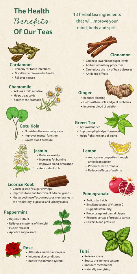 Tea As Medicine, Herbal Tea For Health, Medicinal Teas Recipes, Healthy Herbal Teas, Eucalyptus Tea Benefits, Herbal Teas And Their Benefits, Tea Add Ins, Herbal Tea Aesthetic, Nutrient Food