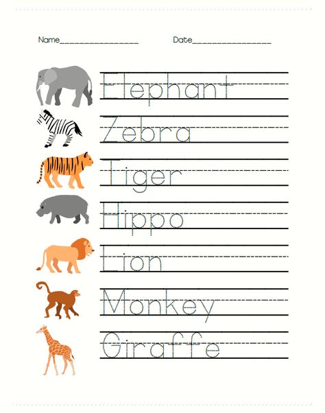 Free Safari Animal Worksheets for PreK are great for writing and math learning! Trace the animal names while talking about each animal: what color it is, what sound it makes, and where it lives! Study Africa, zoos, or animals with these fun worksheets. Also include addition (with pictures), tracing words, and fun facts about these awesome animals. Includes elephants, zebras, tigers, hippos, lions, monkeys, and giraffes! Zoo Animal Tracing, Animals Tracing Worksheet, Worksheets For Prek, Zoo Animals Preschool, Tracing Words, Zoo Animal Activities, Pre-k Writing, Learning Animals, Animal Writing