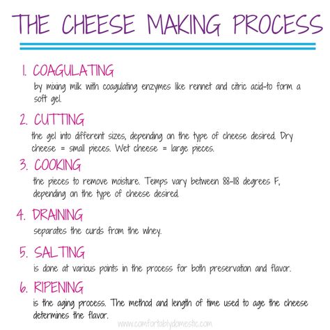 The-Simple-Art-of-Making-Cheese. The cheese making process is easier than you might think and SO much fun! via @comfortdomestic Cheese Making Process, Cheese Recipes Homemade, Cheese Making Recipes, Making Cheese, Diy Cheese, Cheese Making, White Cheese, Types Of Cheese, Homemade Cheese