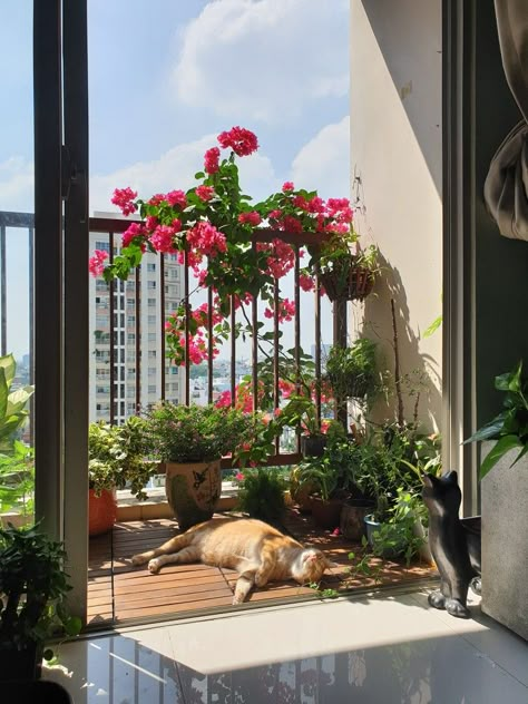 Interior Balcony, Apartment Balcony Garden, Porch Plants, Indian Home Design, Balcony Plants, Future Apartment Decor, Mental Stimulation, Fancy Houses, Apartment Balconies