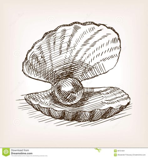 For gallery wall Clam Drawing, Pearl Sketch, Seashell With Pearl, Shell Sketch, Pearl Drawing, Seashell Drawing, Clam Pearl, Shell Drawing, Pen Art Drawings