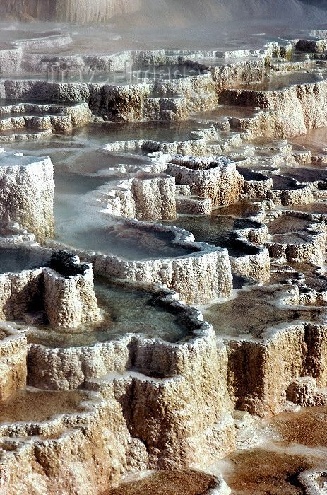 Spring Landscapes, Mammoth Hot Springs, Landscapes Photography, Yellowstone Trip, Trendy Photography, Yellowstone Park, Nature Spring, National Parks Usa, Travel Images