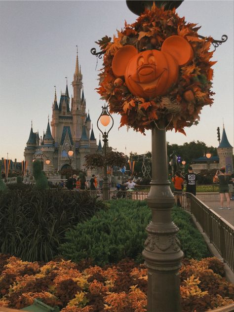 Fall In Disney World, Disney Aesthetic Halloween, Disney Halloween Astethic, Fall Disney Wallpaper Iphone, Disneyworld Halloween Aesthetic, Disney Halloween Lockscreen, Disneyland During Halloween, Disney Halloween Phone Wallpaper, Disney Halloween Wallpaper Aesthetic