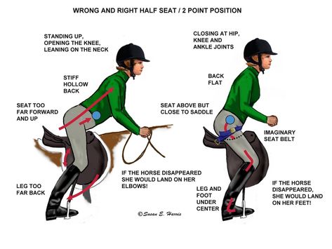 Shoe Tattoo, Horse Training Exercises, Horseback Riding Tips, Horse Lessons, Healthy Horses, Riding Tips, Horse Exercises, Horse Care Tips, Horse Facts