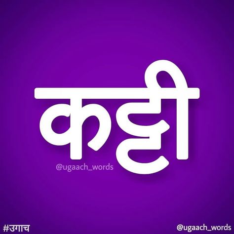 👀👀👀👰sorrry Hindi Typography, Ideas For Wallpaper, Funny Quotes In Hindi, Funky Quotes, Desi Quotes, Swag Quotes, Artist Humor, Funny Attitude Quotes, Image Chat