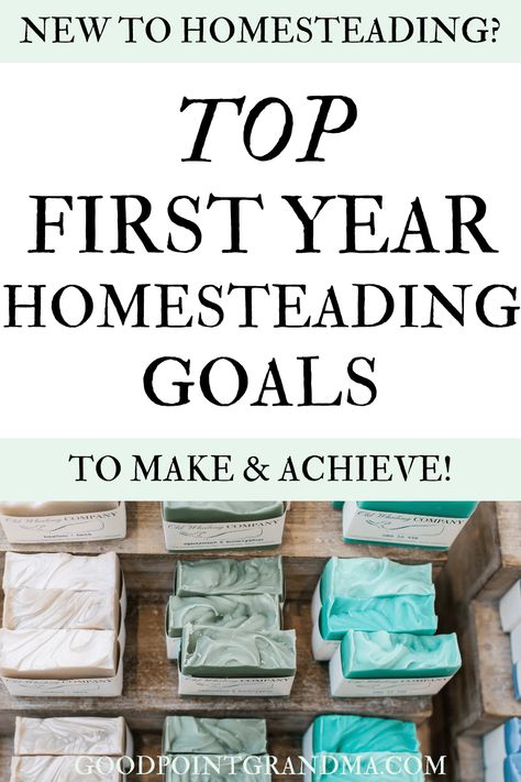 If you are new to homesteading or just don't know where to start, then these first year homesteading goals are for you! These are easy and attainable goals that our family achieved in our first year homesteading and that we recommend to others starting out. Homesteading can feel overwheling at first because there are so many options. Use this list to find the best goals in homesteading for your family specifically! You will be equipped to start strong and quickly. #homesteading #goals #firstyear First Steps To Homesteading, Quarter Acre Homestead, Homesteading Goals, Crunchy Lifestyle, September Meals, Homesteading For Beginners, Homestead Inspiration, Attainable Goals, Homestead Layout