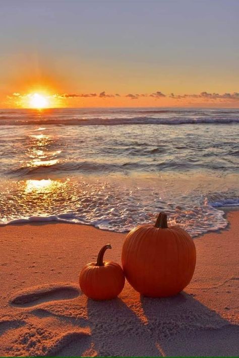 Fall Beach Scenes, Fall Beach Wallpaper Iphone, October At The Beach, Fall Beach Quotes, Autumn In Florida, Florida Fall Aesthetic, Autumn Beach Aesthetic, Coastal Fall Aesthetic, Fall Beach Aesthetic