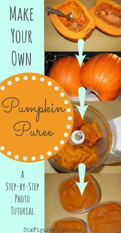 Make your own pumpkin puree from regular pumpkins with this step-by-step photo tutorial. You'll never go back to canned pumpkin again! Make Pumpkin Puree, Big Pumpkin, How To Make Pumpkin, Never Go Back, Best Pumpkin, Canned Pumpkin, Food Processor, Canning Recipes, Pumpkin Puree