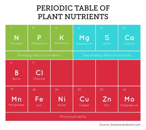 Hydroponic Nutrient Solution - The Essential Guide | Green and Vibrant Hydroponics Plants List, Plant Classification Chart, Ph Chart, Rockwool Hydroponic, Plant Pathology, Nft Hydroponics, Hydroponic Ppm Chart, Nitrogen Fixation, Hydroponic Garden