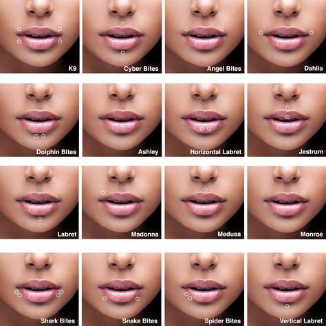 Face Peircings Name, Middle Bottom Lip Piercing, Top And Bottom Lip Piercing, Double Ashley Piercing Lip, Pericings And There Names Face, Madussa Piercing Lip, Mouth Percinings Chart, Stud Lip Piercing, Peircings Name Chart Face