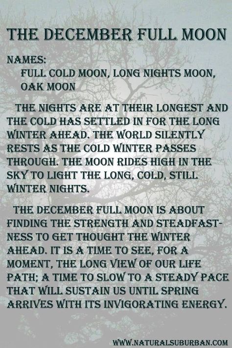 Last Full Moon of the Year!!! @lunasearles @firefae12 Waldorf Daycare, Moon Months, December Full Moon, Full Moon Names, Moon Meaning, Moon Names, Cold Moon, Moon Magick, Moon Rituals