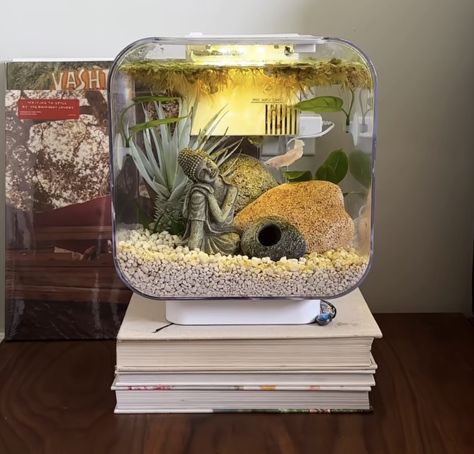 Cool Fish Tank Decorations, Fish Tank Themes, Fish Tank Terrarium, Cool Fish Tanks, Small Fish Tanks, Pretty Fish, Beta Fish, Betta Fish Tank, Cool Fish