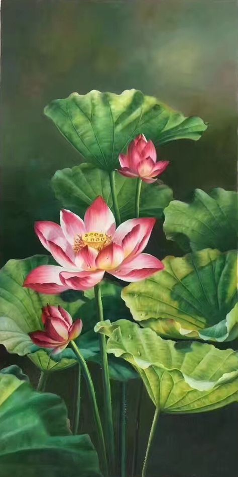 Doodle Zen, Water Lilies Art, Lotus Flower Painting, Kolam Air, Lotus Flower Pictures, Pond Painting, Lotus Flower Art, Lotus Painting, Buddha Art Painting