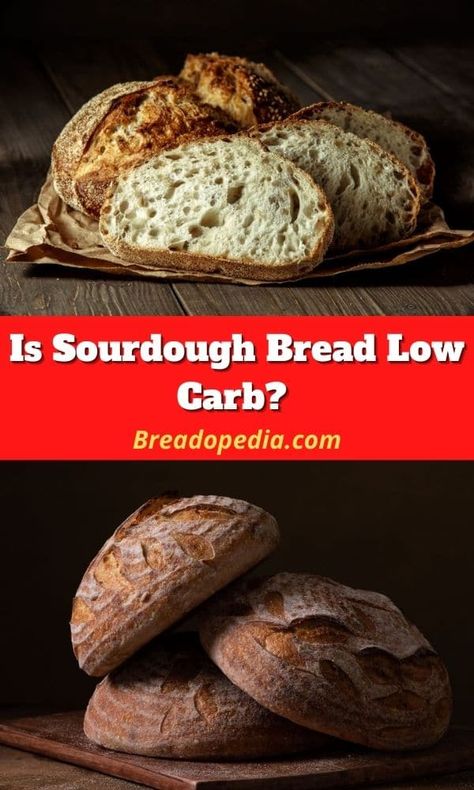 Sourdough Low Carb Recipes, Protein Sourdough Bread, Healthy Sourdough Bread Recipe, Keto Sourdough Bread Starter, Low Carb Sourdough Starter, Healthy Sour Dough Bread Recipe, Sourdough For Diabetics, High Protein Sourdough Bread, Low Calorie Sourdough Bread