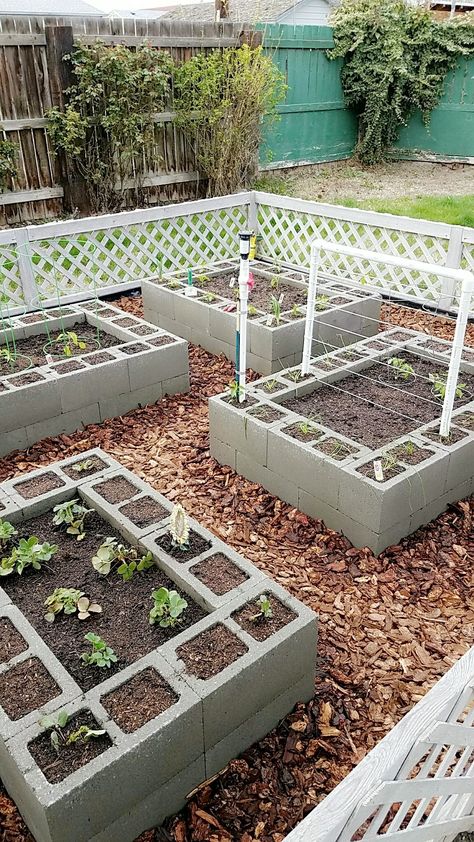 Small Garden Bed Ideas, Cinder Block Garden, Building A Raised Garden, Fountain Design, Diy Raised Garden, Backyard Vegetable Gardens, Veg Garden, Home Vegetable Garden, Garden Yard Ideas