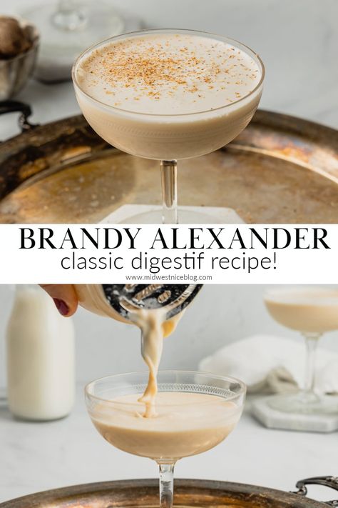 Decadent and creamy with notes of warming brandy and sweet cacao the Brandy Alexander is a great after dinner drink recipe enjoyed all over Wisconsin that requires only three ingredients! Brandi Alexander Recipe, Brandy Ice Recipe, Hot Brandy Drinks, Brandy Recipes Drinks, Brandy Alexander With Ice Cream, Brandy Alexander Recipe, Brandy Ice, Brandy Drinks, Brandy Alexander Cocktail