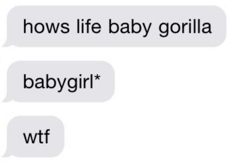 I'll be your baby gorilla. Trying To Flirt, Me Trying To Flirt, Baby Gorilla, Baby Gorillas, Teenager Humor, Flirting Messages, Flirting Texts, Funny Thoughts, Flirting Memes