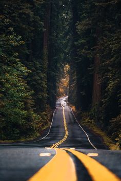 Highway Photography, Avenue Of The Giants, Road Photography, Beautiful Roads, Image Nature, The Giants, Landscape Photography Nature, Best Background Images, Photo Background Images