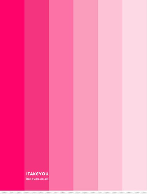 ombre pink colour scheme, ombre pink colour combo, shades of pink color combination, summer color scheme, pink color combo #pink #ombrepink #colorscheme Pretty Shades Of Pink, Colors Of Pink Shades, Shades Of Pink Wallpaper, All Shades Of Pink, Shade Of Pink Palette, Pink Colour Combination, Pink Scheme, Pink Shades Color Colour Palettes, Pink Colour Combo