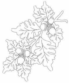 Embroidery Paper, Oak Leaves And Acorns, Oak Branch, Leather Tooling Patterns, Tooling Patterns, Parchment Craft, Quilting Inspiration, Card Pattern, Leather Carving