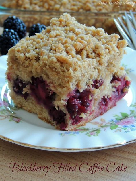 Blackberry Filled Coffee Cake http://www.cozycountryliving.com/blackberry-filled-coffee-cake/ #coffeecake #blackberries #brunch Oatmeal Cranberry Bars Recipe, Filled Coffee Cake, Oatmeal Bars Recipes, Crumb Cake Recipe, Blackberry Recipes, Leftover Cranberry Sauce, Dessert Party, Oatmeal Bars, Cranberry Recipes