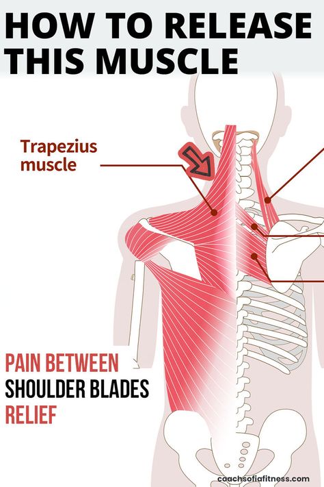 Simple release technique to release back pain and muscle knots between the shoulder blades and upper back. You'll get long-term relief from pain and tightness in the upper trapezius and mid-back pain area Trapezius Muscle Pain, Upper Back Pain Relief, Shoulder Muscle Pain, Neck Pain Exercises, Neck And Shoulder Exercises, Shoulder Pain Relief, Lower Back Pain Exercises, Neck Exercises, Posture Exercises