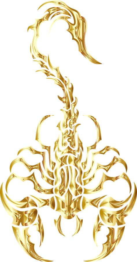 Scorpion, Tribal, Gold, Animal, Arachnid, Insect Drip Tattoo, Scorpio Zodiac Tattoos, Scorpio Art, Scorpio Tattoo, Gold Drip, King Tattoos, Scorpion Tattoo, Gold Animals, Tattoo Project