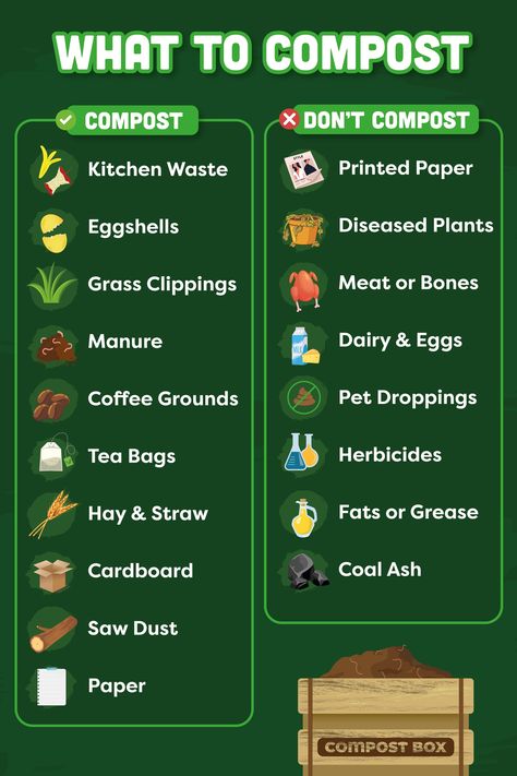 Want to start your own DIY compost bin? Here are the basics of what you can compost at home 🏡 Find out more with our full guide.. 🔗 #composting #compostbin #allotment #DIYCompostBin #PeatFree Compost Bin For Beginners, Building A Compost Pile, Diy Composting Bin, Backyard Composting Diy, Compost Bin Diy For Beginners, Diy Compost Bin Outdoor, Diy Composter, Compost Bin Ideas, Compost Diy