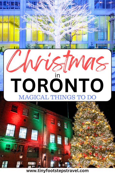 Here are all the amazing things there are to do in Toronto at Christmas Toronto At Christmas, Christmas In Toronto Canada, Toronto Canada Winter, Christmas In Toronto, Things To Do At Christmas, Toronto Winter, Visit Toronto, Canada Christmas, Eaton Centre