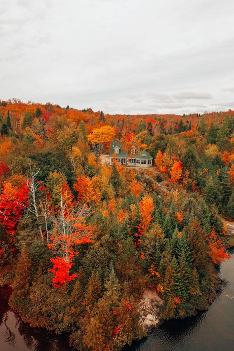 This Is One Of The Best View In All Of Quebec, Canada (17) Autumn In Canada Aesthetic, Canada In September, Fall In Quebec, Canada In Autumn, Fall In Canada, Autumn In Canada, Canada Vibes, Canada Autumn, Spirea Shrub