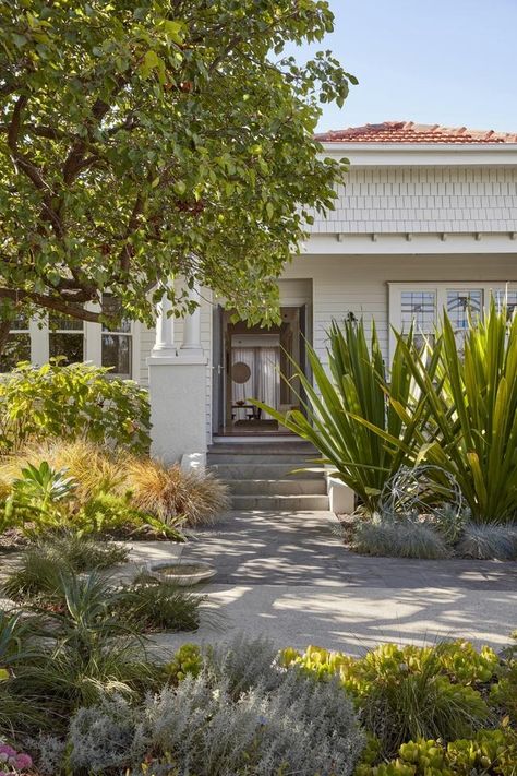 This Preston California bungalow has been reimagined as a contemporary oasis complete with a modern extension that changed everything. Front Garden Inspiration, Bungalow Facade, Moroccan Style Home, Californian Bungalow, California Bungalow, Front Gardens, Homes To Love, Bungalow Exterior, California Garden