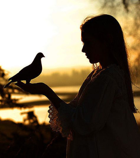 She often likened herself to the fragile nature of a tiny...  "Bird" by Tina Baker (~Tina Louise~ via Flickr) Shadow Silhouette, Slaap Lekker, Arte Inspo, Foto Art, Rumi, Light And Shadow, Photography Inspiration, Human Silhouette, Beautiful Pictures