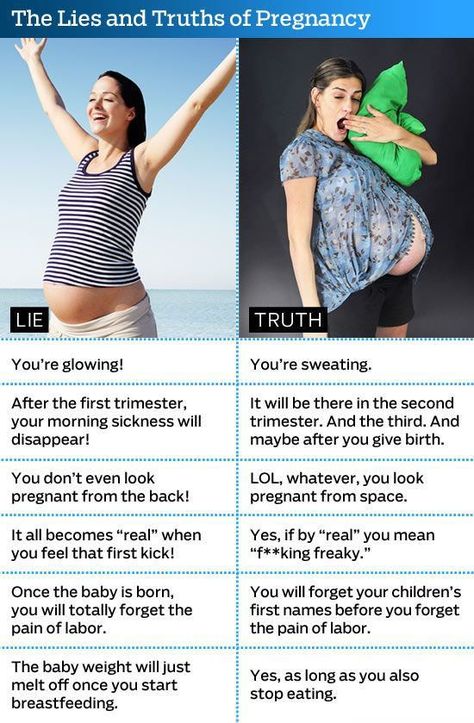 Almost exactly my experience... except they forgot having to pee every 5 minutes (because you HAD to drink 3 liters of water a day.  Pregnancy as popular culture has portrayed it is a lie ... Teenage Pregnancy, Pregnancy Guide, Truth And Lies, Morning Sickness, First Trimester, Pregnancy Humor, Baby Time, Pregnancy Tips, Future Baby