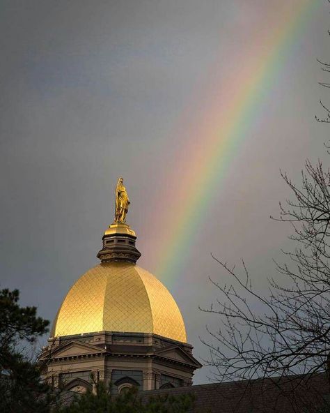 Pot of Gold at end of rainbow!! Notre Dame Wallpaper, Notre Dame Apparel, Notre Dame Campus, Touchdown Jesus, Noter Dame, Alabama College Football, Golden Dome, Go Irish, Football Logos