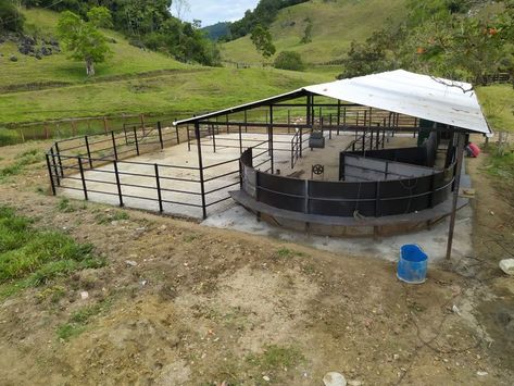 Small Cattle Working Pens, Cattle Kraal Design, Cattle Working Pens, Cattle Barn Designs, Cow Shed Design, Cattle Housing, Cattle Facility, Cattle Corrals, Livestock Fence