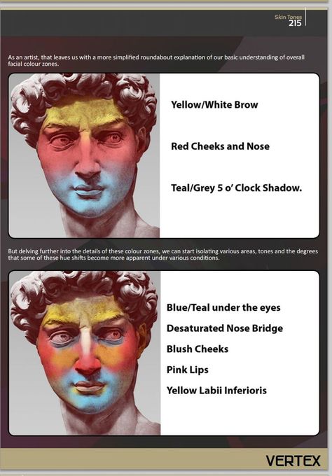 facial color zones Digital Paintings, Poses References, Digital Painting Tutorials, Wow Art, Anatomy Art, Drawing Tutorials, Art Tutorial, Digital Art Tutorial, Painting Tips