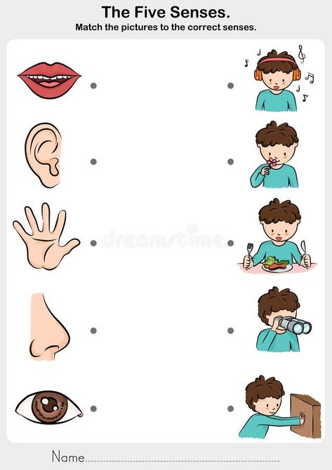 Body Parts Preschool Activities, Five Senses Worksheet, Five Senses Preschool, Sense Organs, Disiplin Anak, Senses Preschool, Math Pictures, Body Parts Preschool, Maluchy Montessori