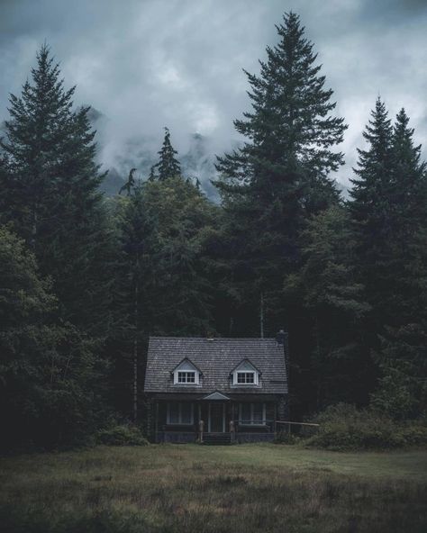 Running In Woods Aesthetic, Dark Academia Cabin, Woods Aesthetic, Aesthetic Kids, October Country, Dark Naturalism, Dark Forest Aesthetic, Little Cabin In The Woods, Nature Witch