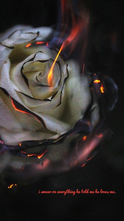 Rose On Fire, Burning Flowers, Burning Rose, Aesthetic Roses, Fire Photography, Beautiful Dark Art, Fantasy Aesthetic, Rose Wallpaper, Dark Photography