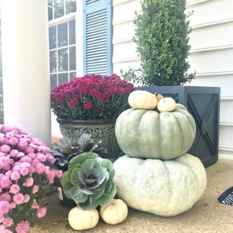 Interior Decorating Blog - Pasadena Interior Decorator Blog Fall Porch Decorating Ideas, Types Of Pumpkins, Porch Decorating Ideas, Homemade Halloween Decorations, Autumn Decorating, Fall Front Porch, Front Porch Decorating, Fall Decorations Porch, Fall Front