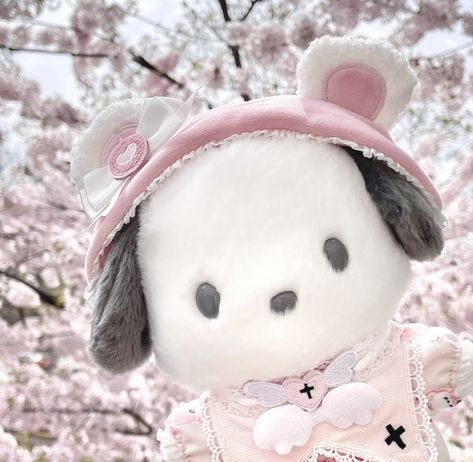 ꒰🐾꒱ Sanrio Pfp, Epic Characters, Fairy Wallpaper, Hello Kitty Images, Cute Animals Puppies, Bear Photos, Kawaii Plush, Photo Scrapbook, Cozy Decor